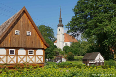 Schaufischen am Schloßteich Petershain